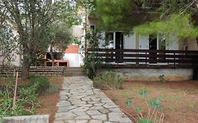 Danica Holiday House