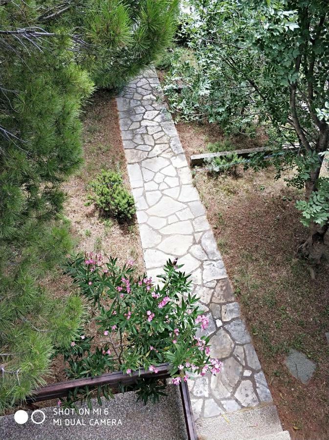 Danica Holiday House Cesarica Esterno foto